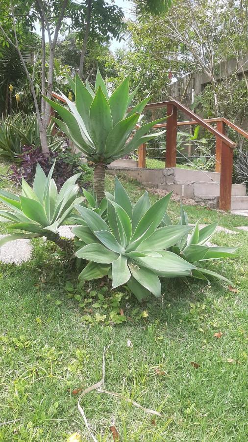 مبيت وإفطار Búzios Vivamar Ferradura المظهر الخارجي الصورة